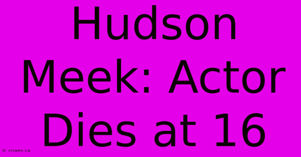 Hudson Meek: Actor Dies At 16