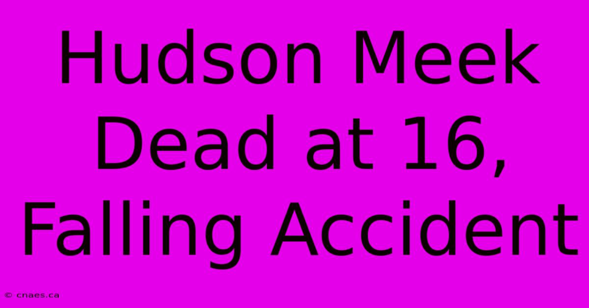 Hudson Meek Dead At 16, Falling Accident