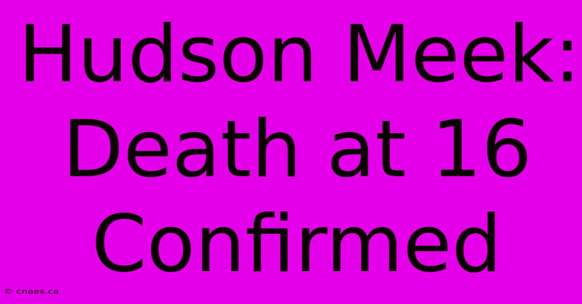 Hudson Meek: Death At 16 Confirmed