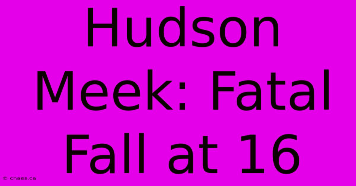 Hudson Meek: Fatal Fall At 16