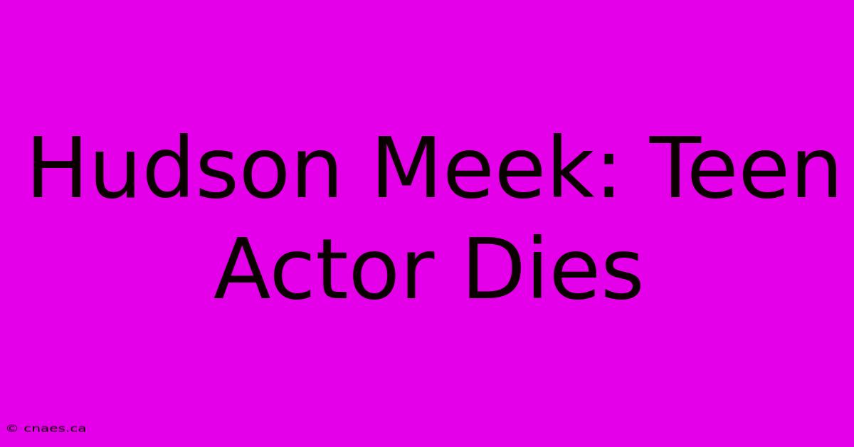 Hudson Meek: Teen Actor Dies