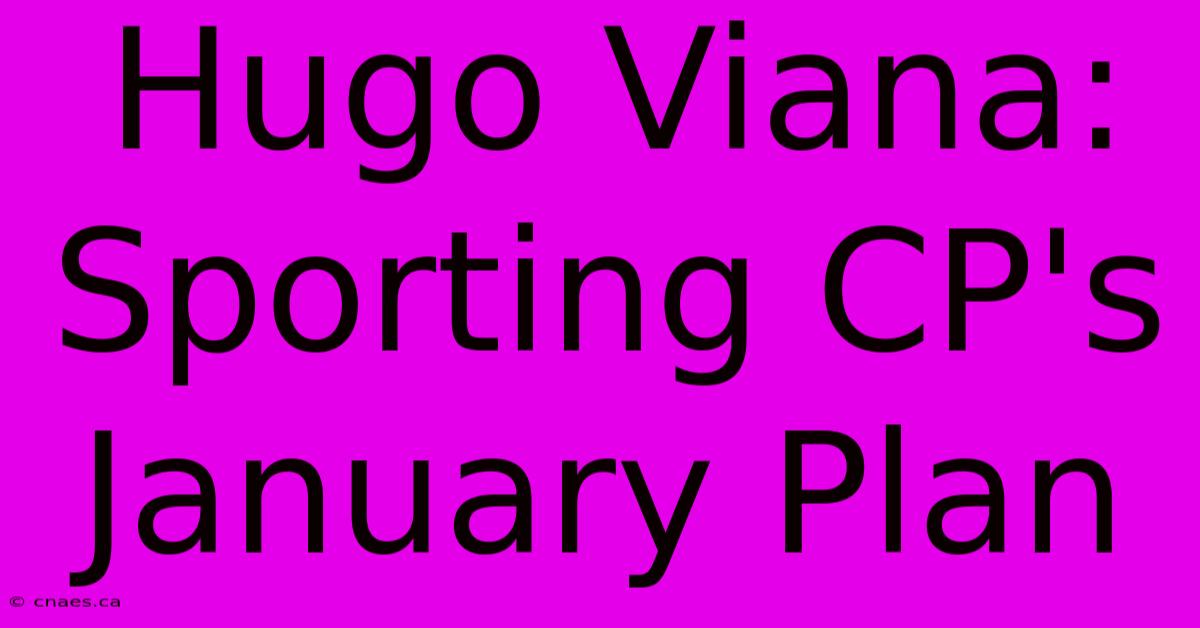 Hugo Viana: Sporting CP's January Plan