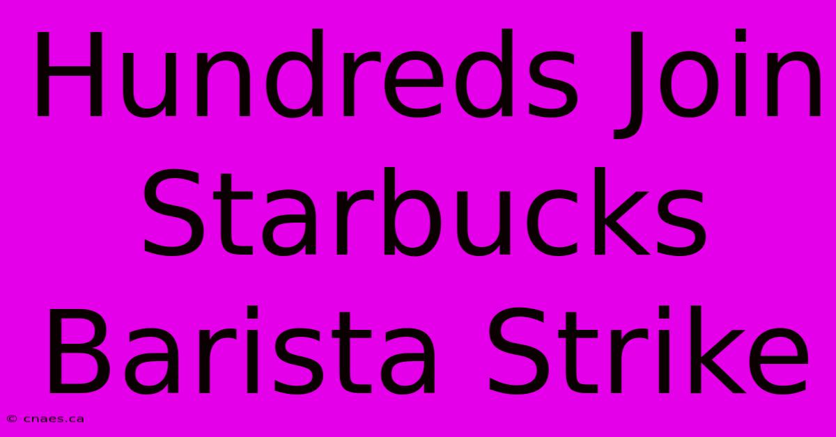 Hundreds Join Starbucks Barista Strike