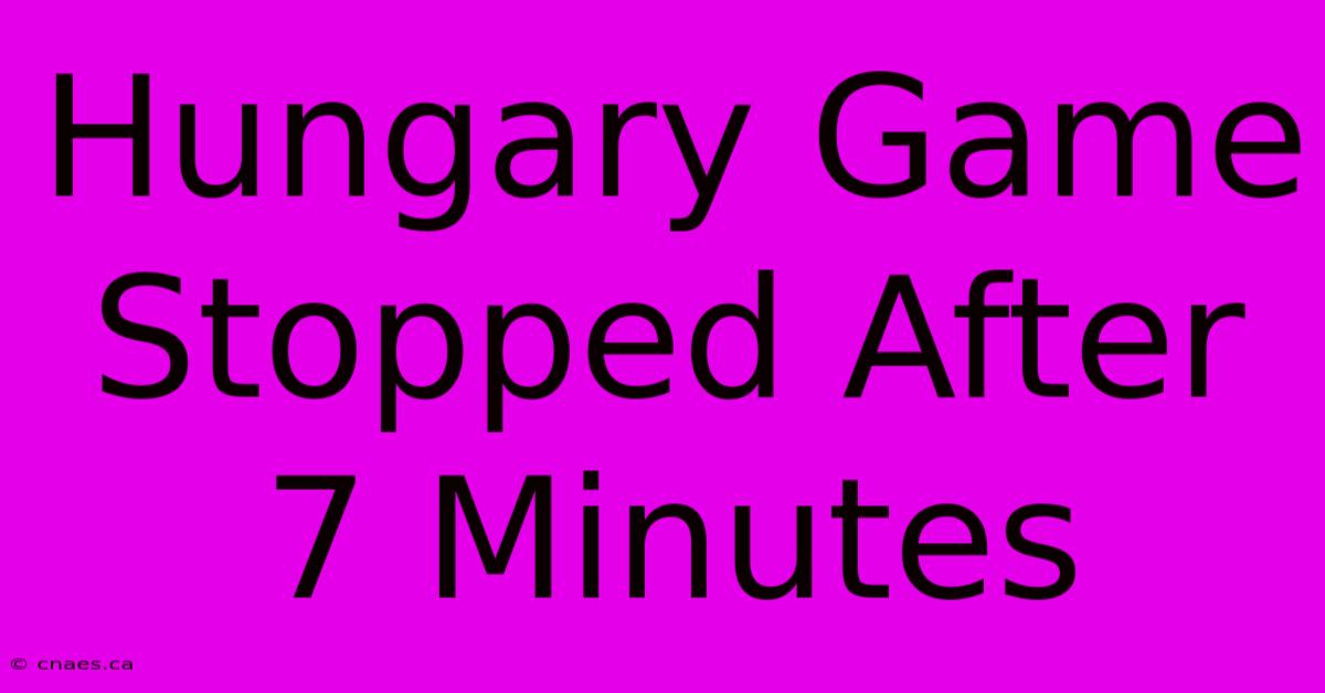 Hungary Game Stopped After 7 Minutes