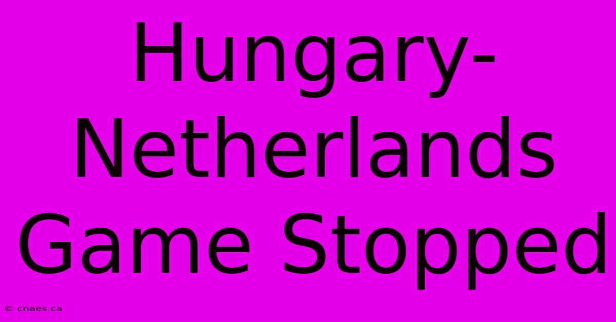 Hungary-Netherlands Game Stopped