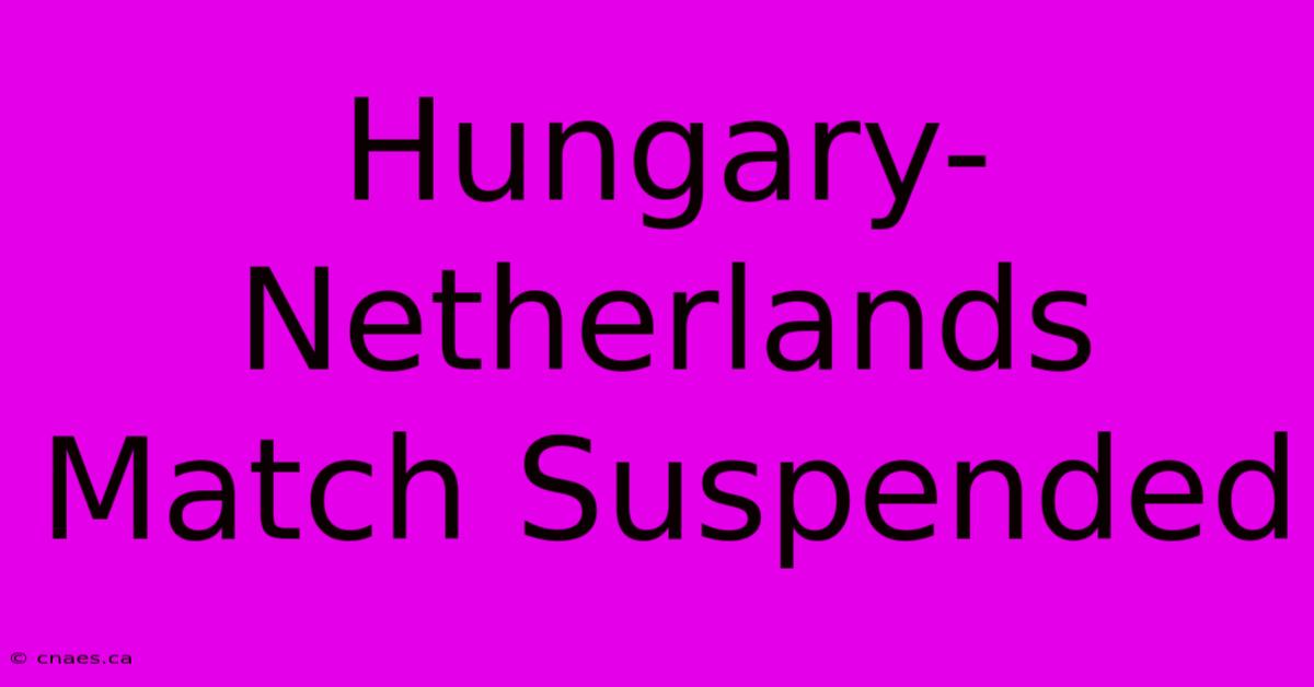 Hungary-Netherlands Match Suspended