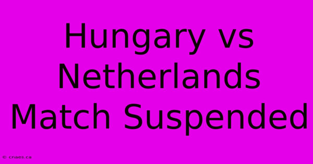 Hungary Vs Netherlands Match Suspended