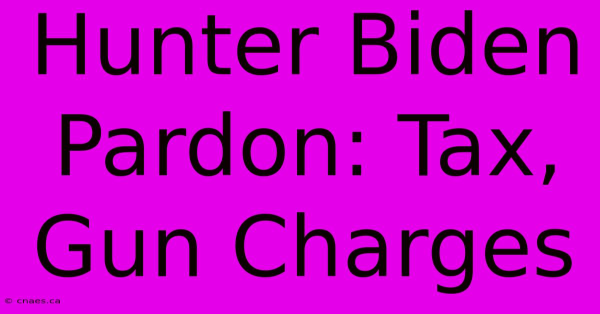 Hunter Biden Pardon: Tax, Gun Charges