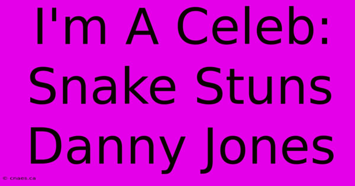 I'm A Celeb: Snake Stuns Danny Jones