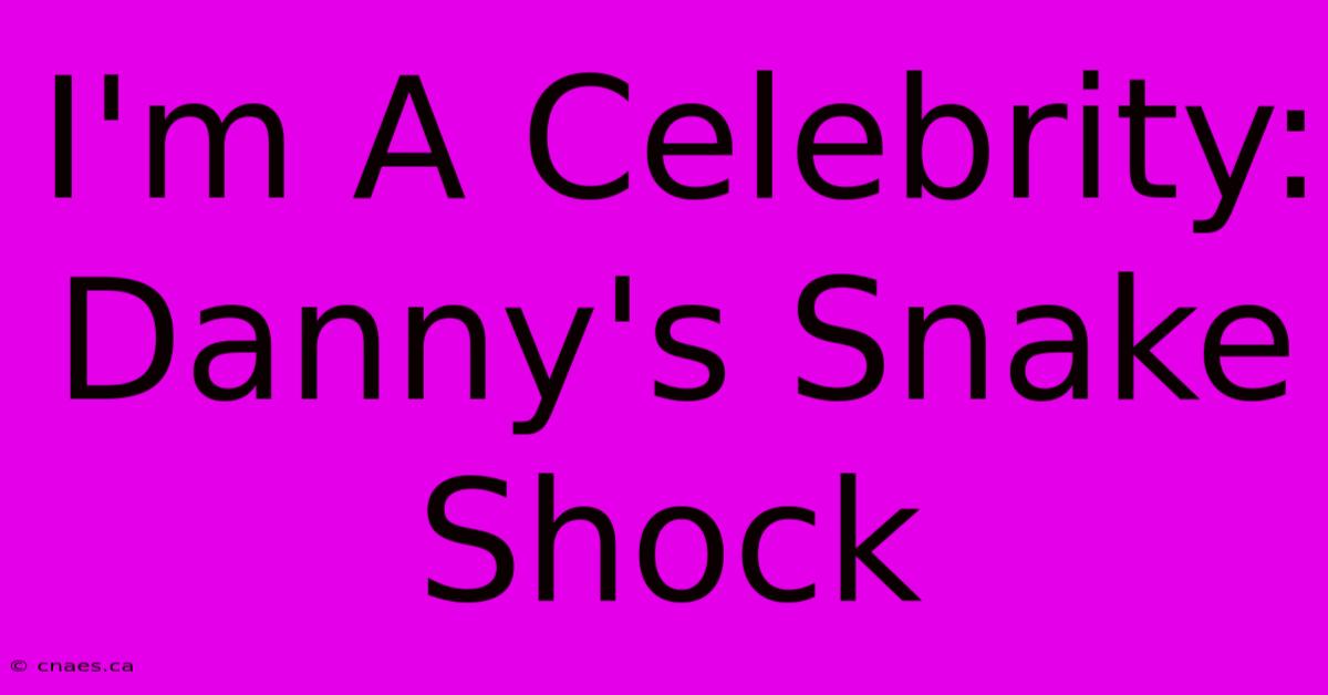 I'm A Celebrity: Danny's Snake Shock