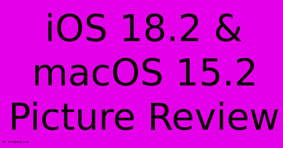 IOS 18.2 & MacOS 15.2 Picture Review