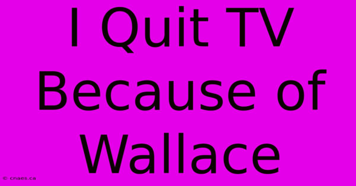 I Quit TV Because Of Wallace