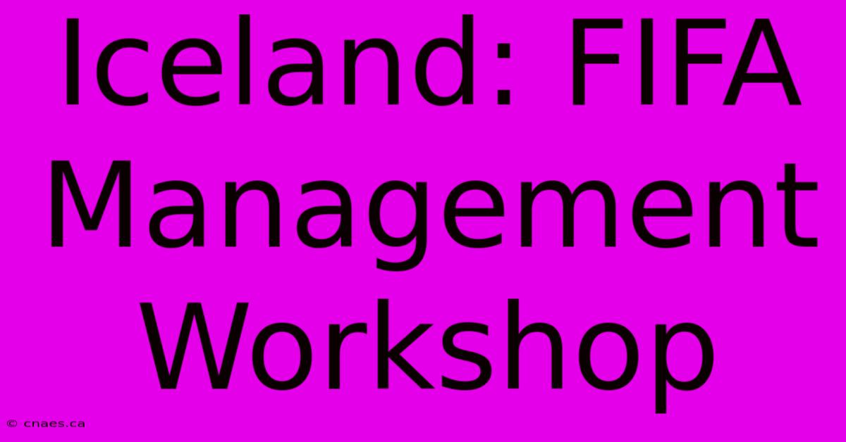 Iceland: FIFA Management Workshop