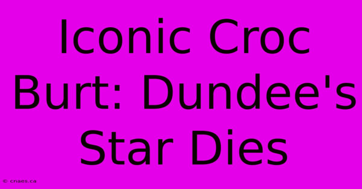 Iconic Croc Burt: Dundee's Star Dies