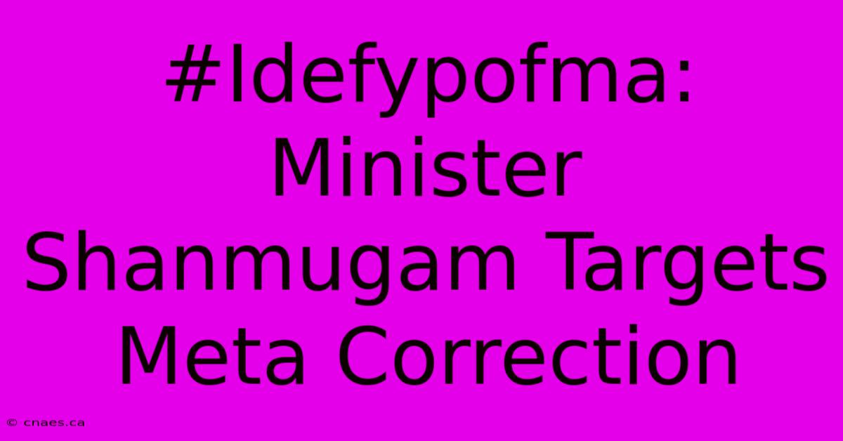 #Idefypofma: Minister Shanmugam Targets Meta Correction