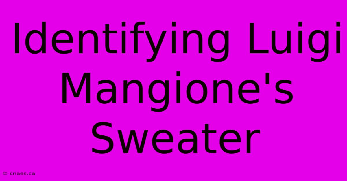 Identifying Luigi Mangione's Sweater