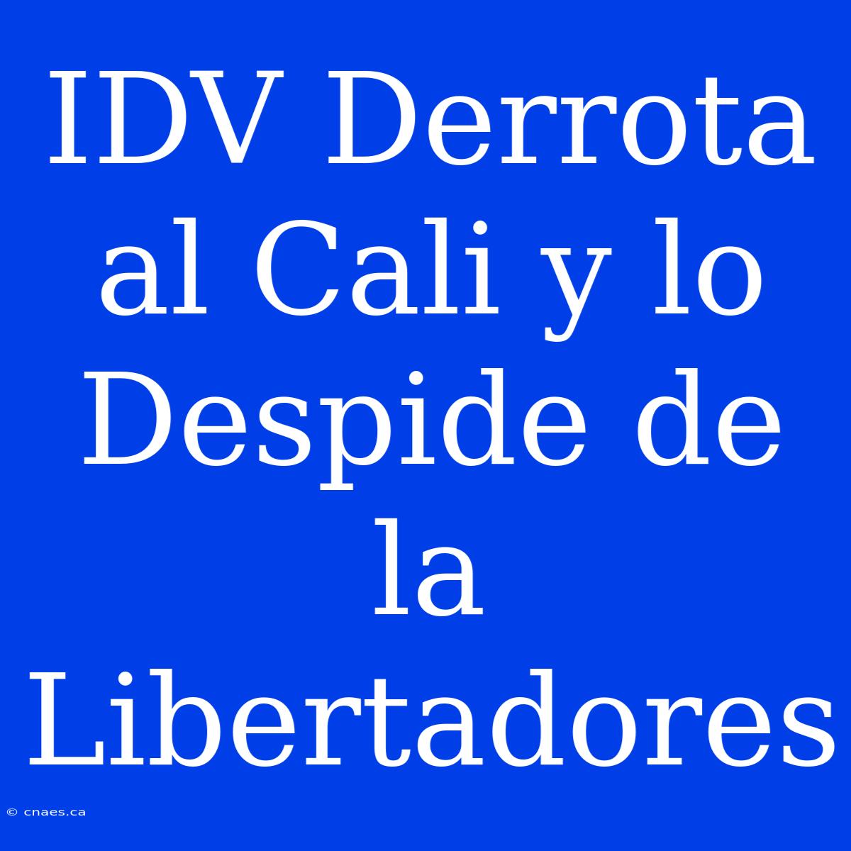 IDV Derrota Al Cali Y Lo Despide De La Libertadores