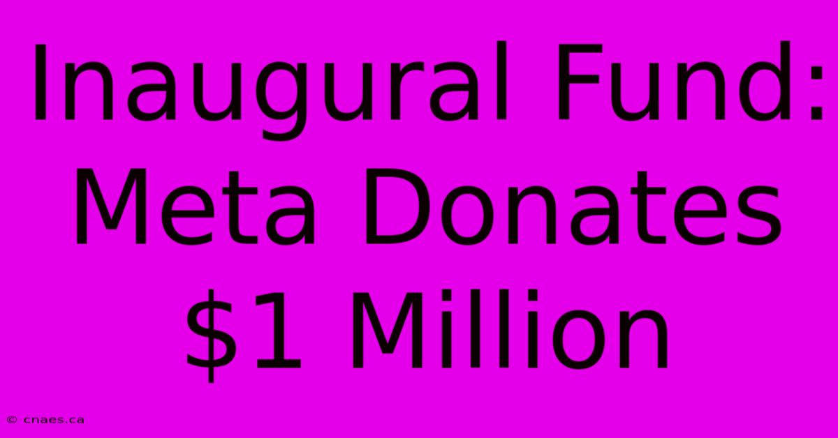 Inaugural Fund: Meta Donates $1 Million