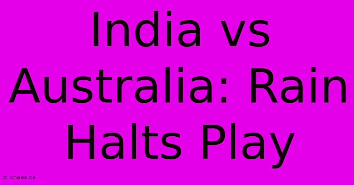 India Vs Australia: Rain Halts Play