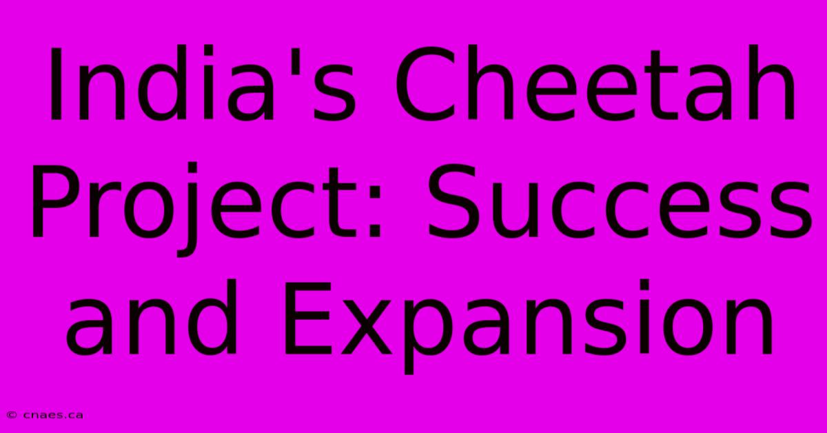 India's Cheetah Project: Success And Expansion