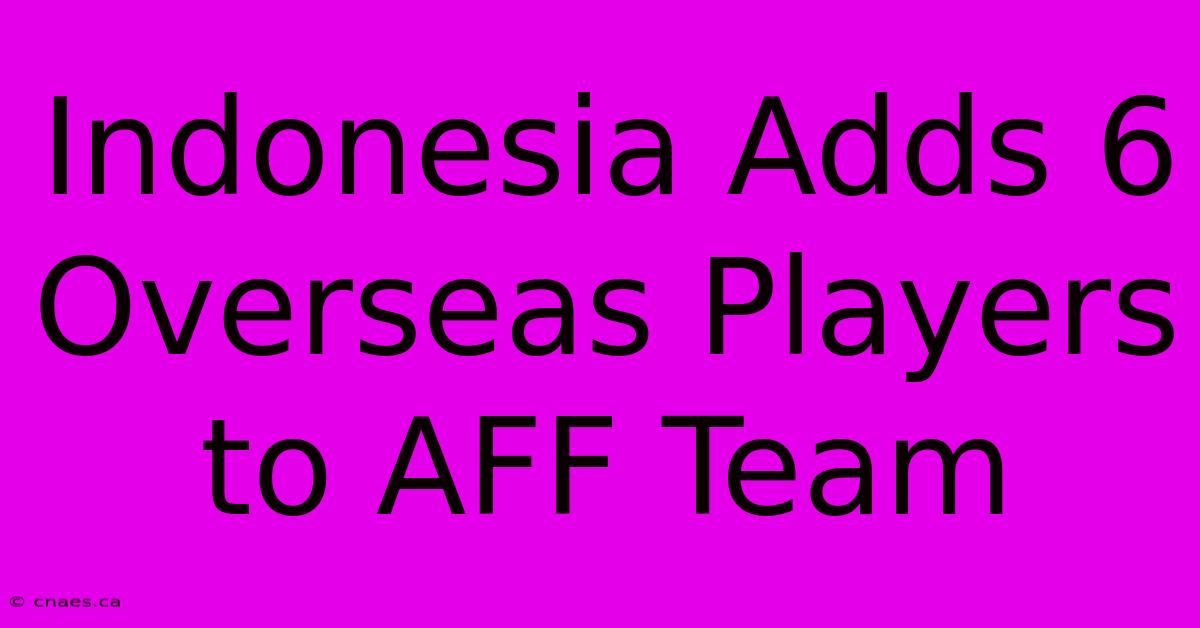 Indonesia Adds 6 Overseas Players To AFF Team