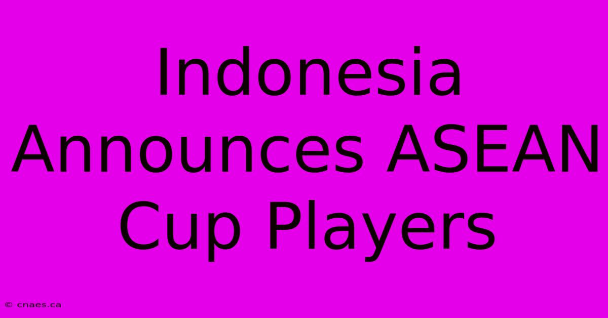 Indonesia Announces ASEAN Cup Players