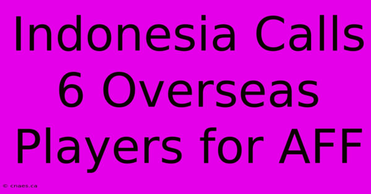 Indonesia Calls 6 Overseas Players For AFF