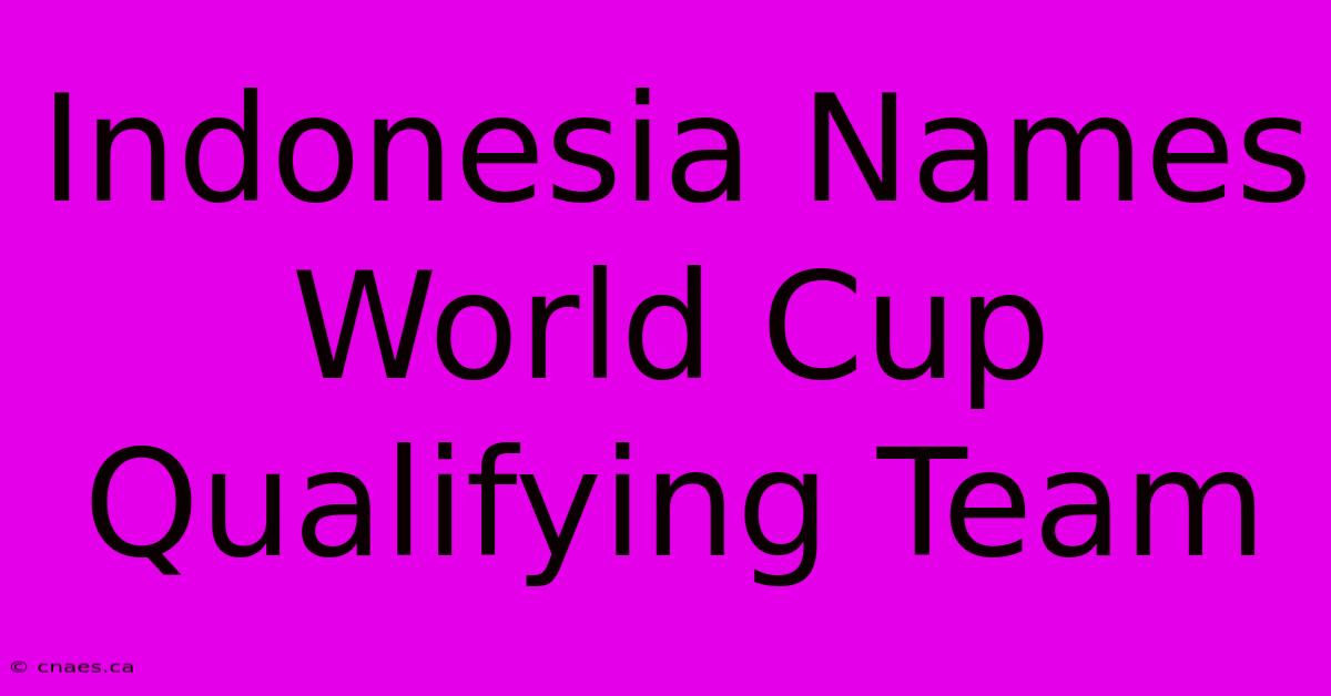 Indonesia Names World Cup Qualifying Team