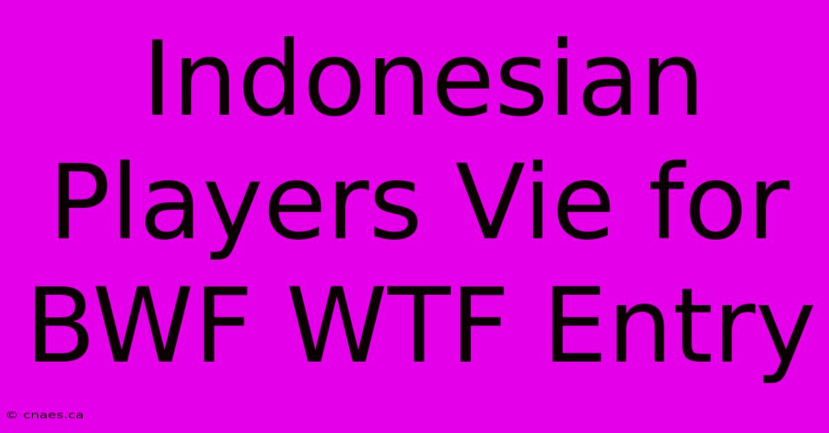 Indonesian Players Vie For BWF WTF Entry