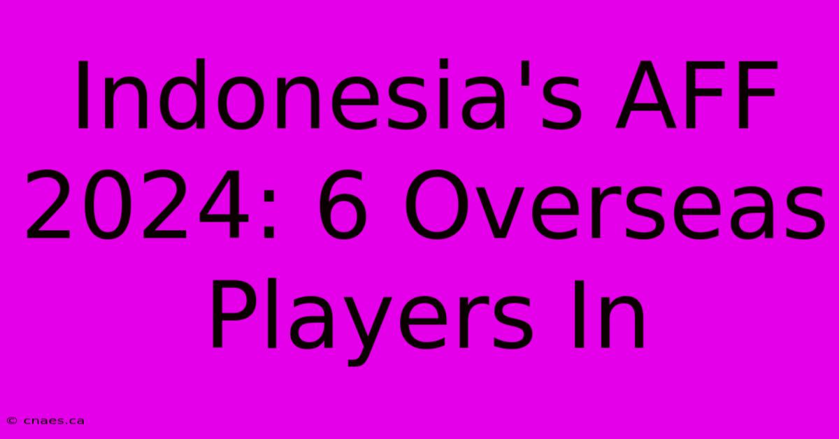 Indonesia's AFF 2024: 6 Overseas Players In