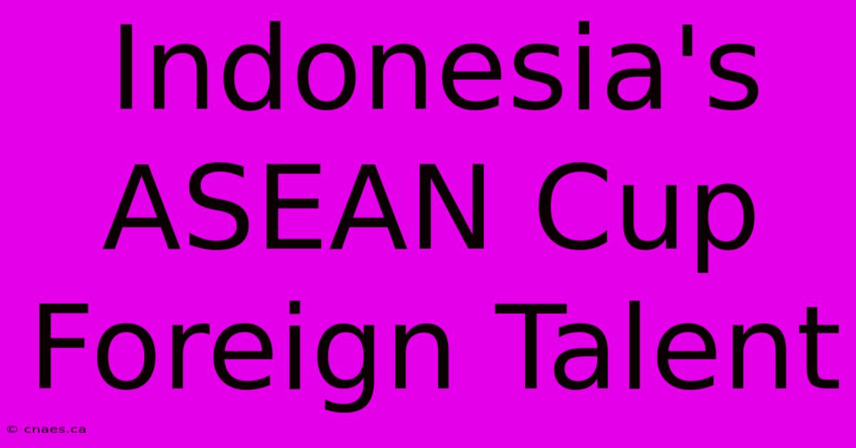 Indonesia's ASEAN Cup Foreign Talent