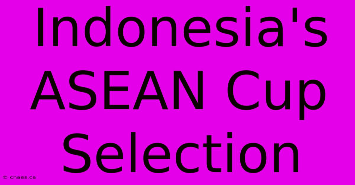 Indonesia's ASEAN Cup Selection