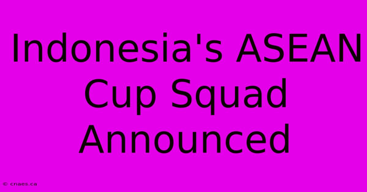 Indonesia's ASEAN Cup Squad Announced