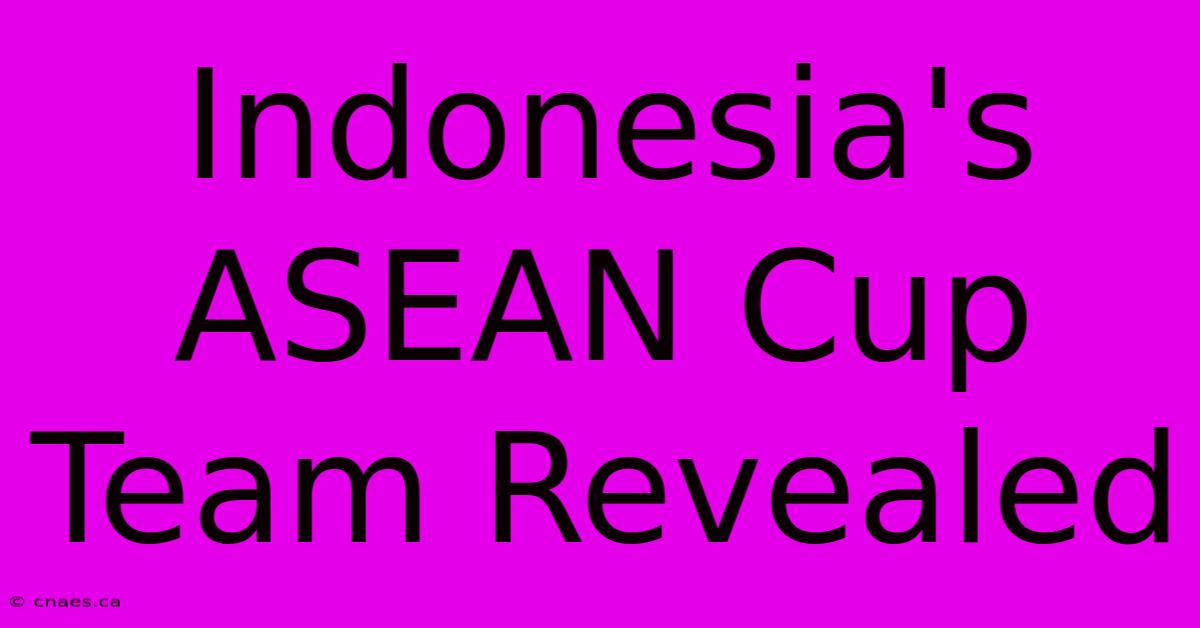 Indonesia's ASEAN Cup Team Revealed