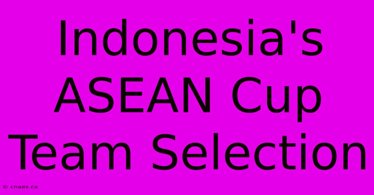 Indonesia's ASEAN Cup Team Selection