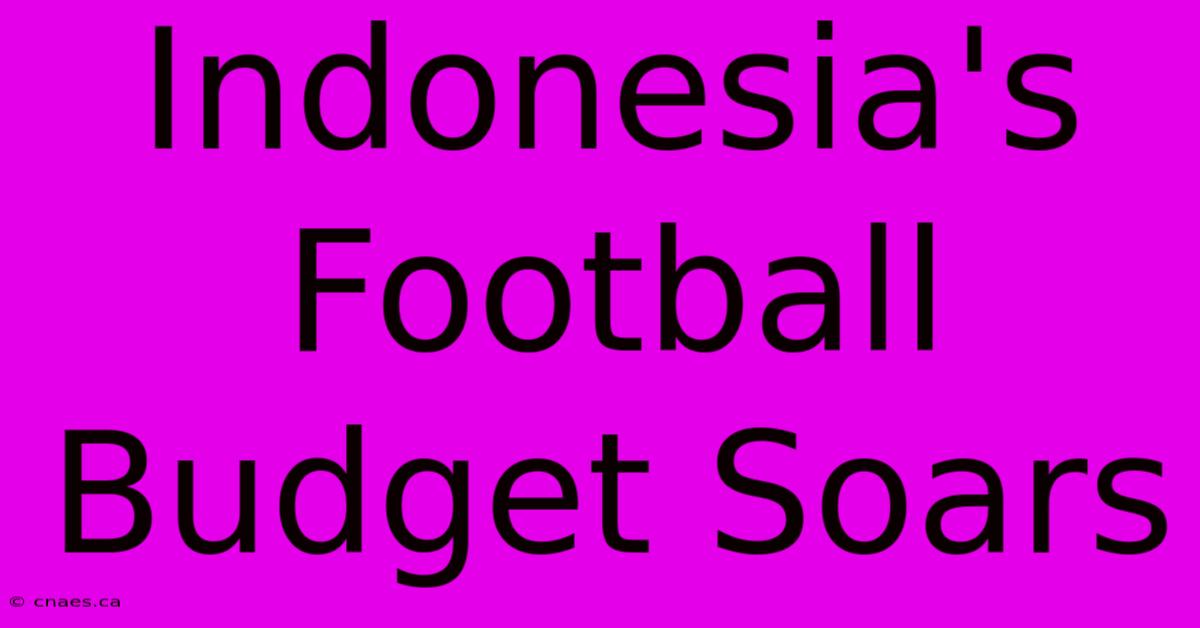 Indonesia's Football Budget Soars