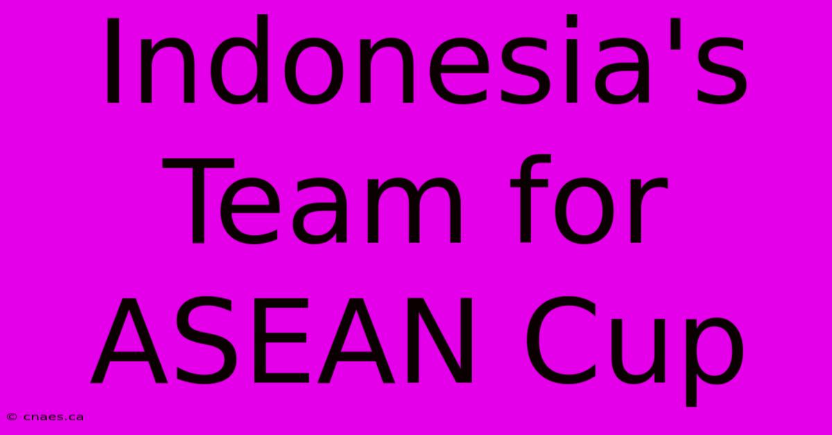 Indonesia's Team For ASEAN Cup