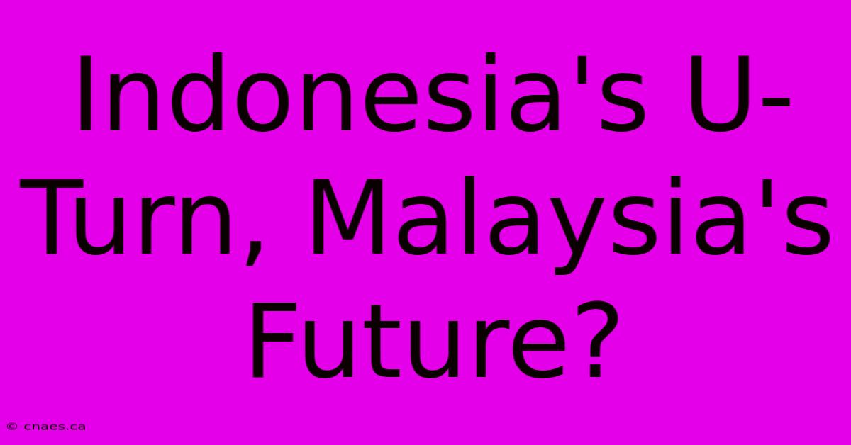 Indonesia's U-Turn, Malaysia's Future?