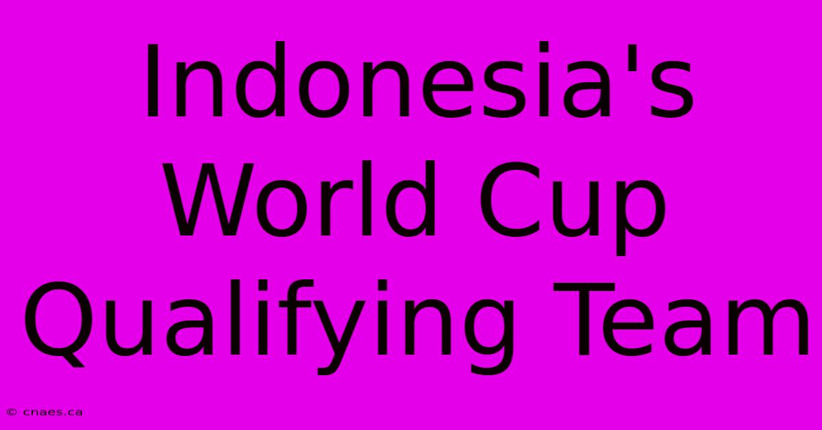 Indonesia's World Cup Qualifying Team