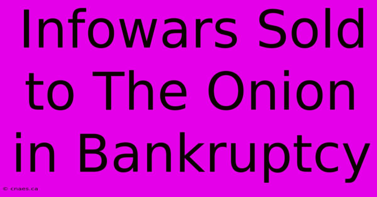 Infowars Sold To The Onion In Bankruptcy