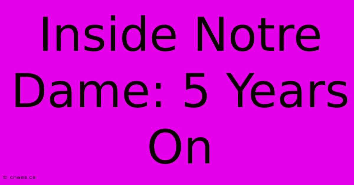 Inside Notre Dame: 5 Years On