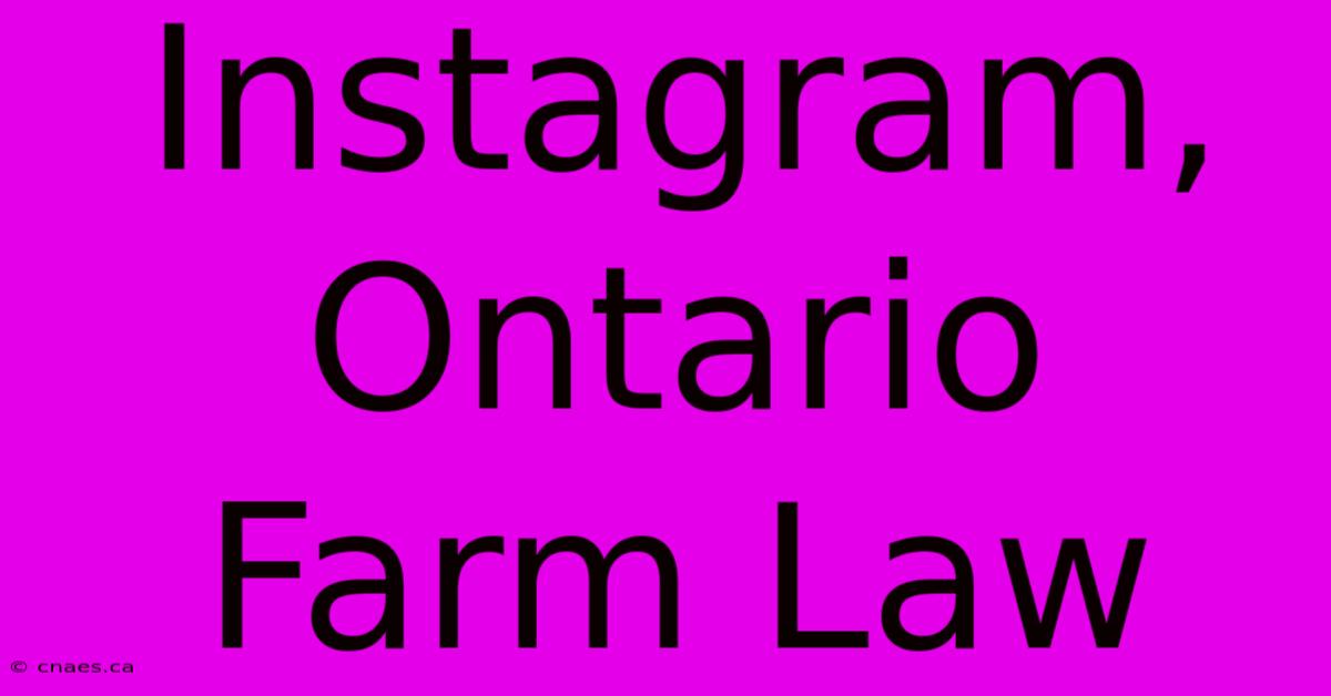 Instagram, Ontario Farm Law