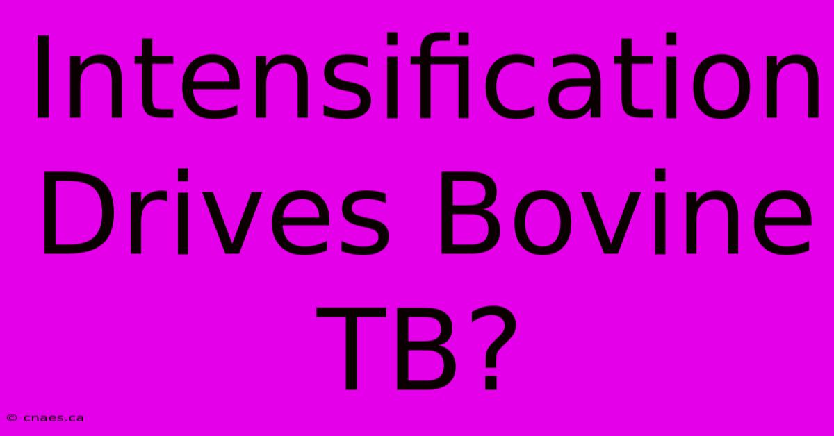 Intensification Drives Bovine TB?