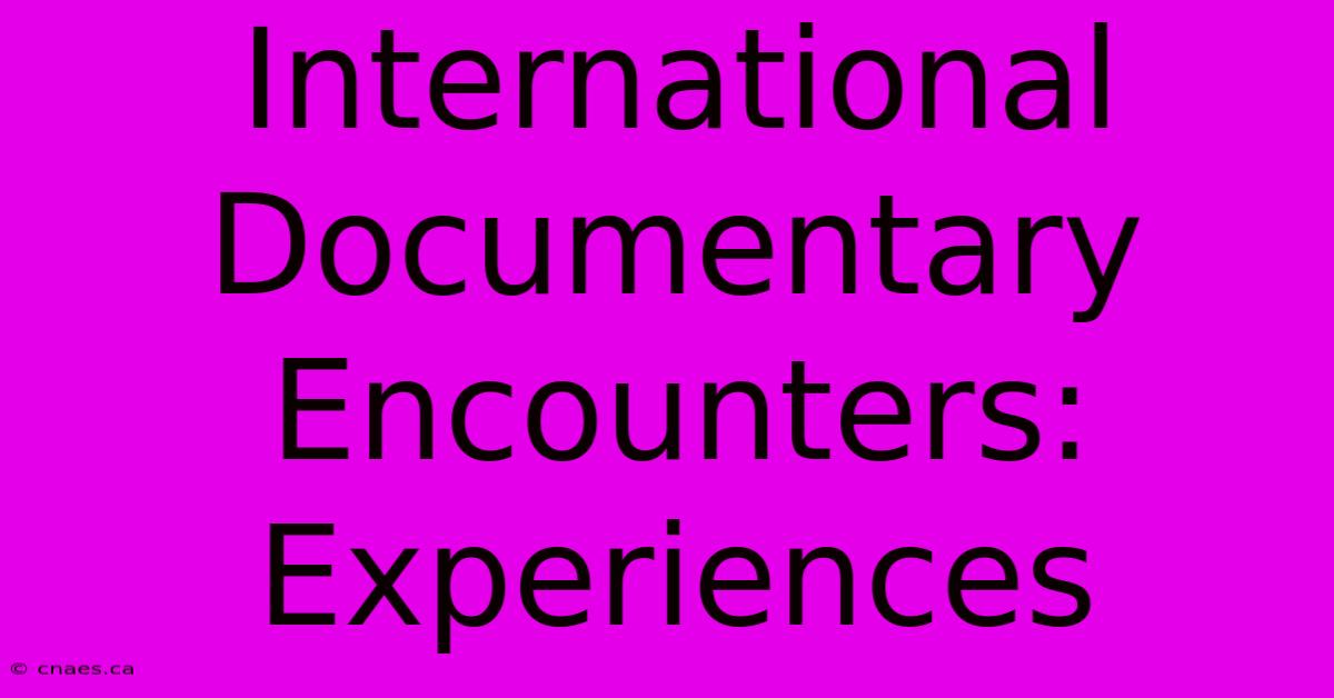 International Documentary Encounters: Experiences