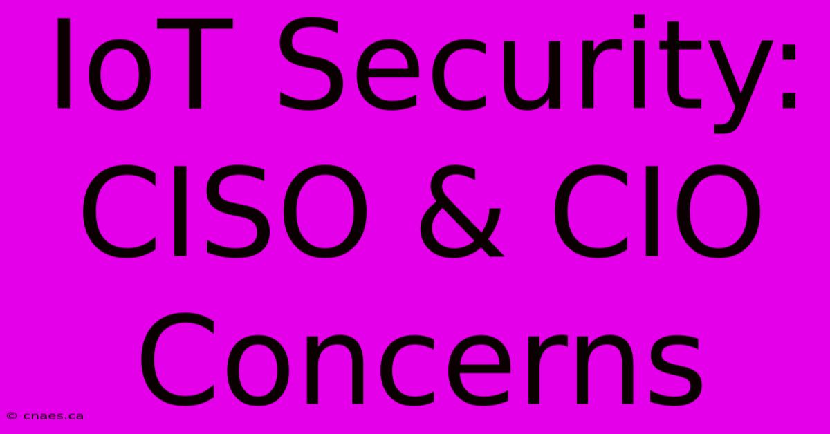 IoT Security: CISO & CIO Concerns