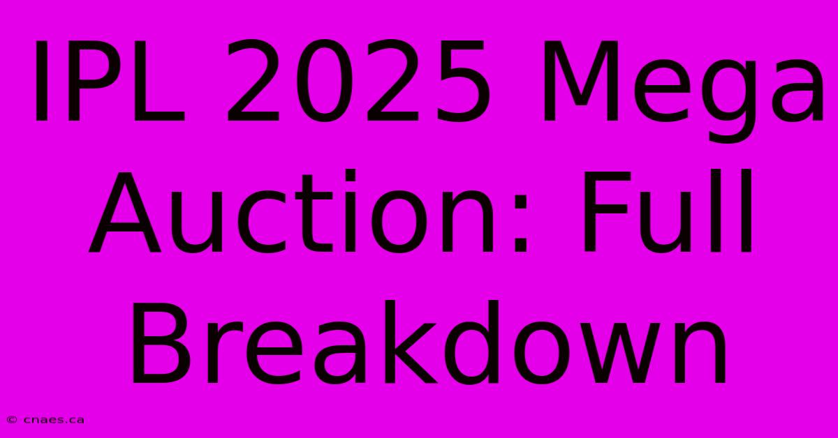 IPL 2025 Mega Auction: Full Breakdown 