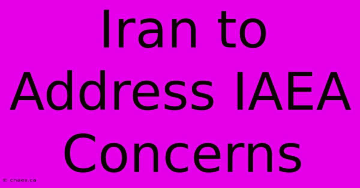 Iran To Address IAEA Concerns