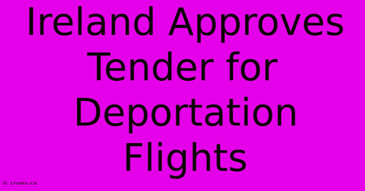 Ireland Approves Tender For Deportation Flights