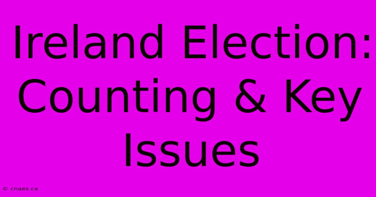 Ireland Election: Counting & Key Issues