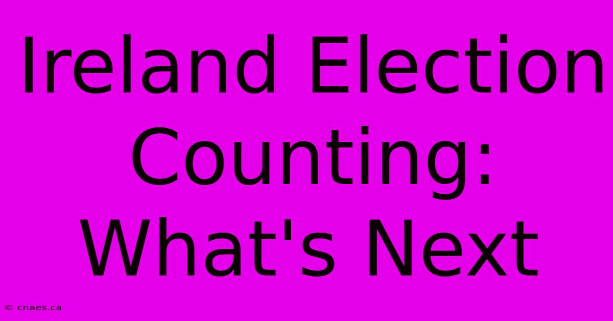 Ireland Election Counting: What's Next